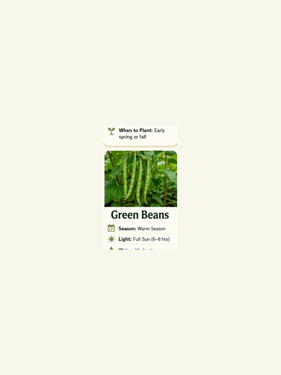 AtHomeGrower card for Green Beans