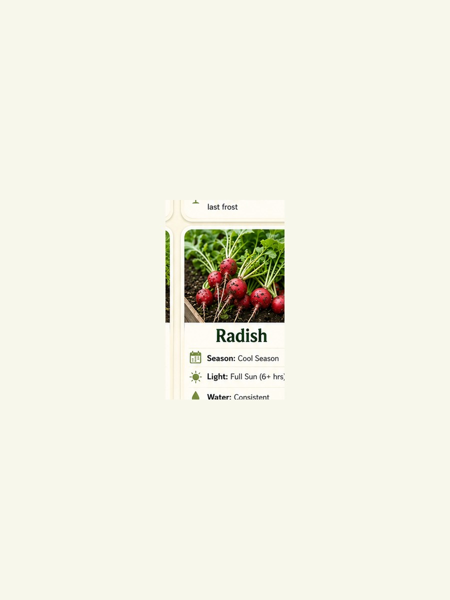 AtHomeGrower card for Radish