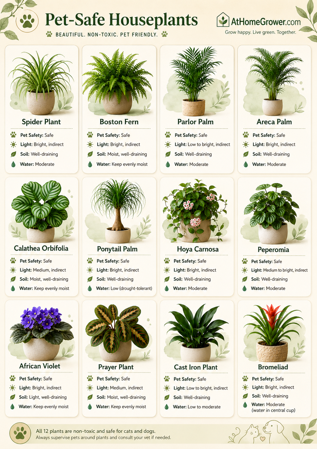 Pet-Safe Houseplants full mosaic guide